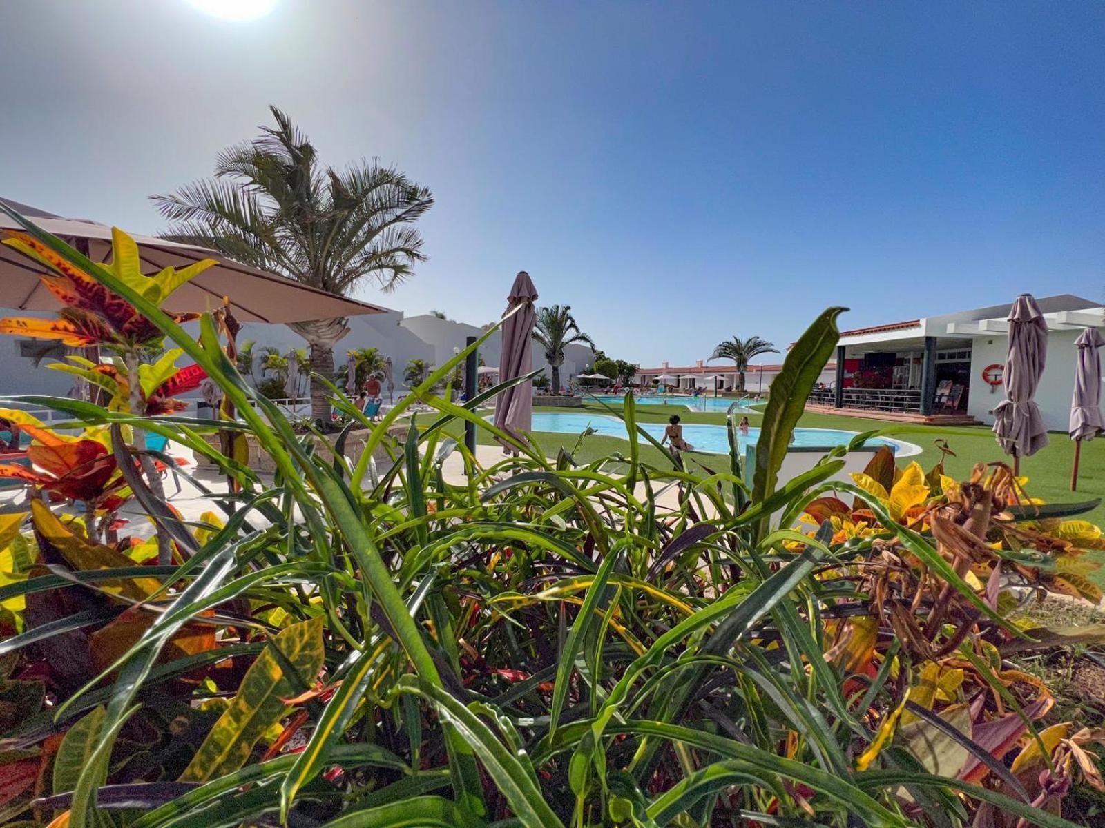 Malibu Park Apartments Sol Costa Adeje  Zewnętrze zdjęcie